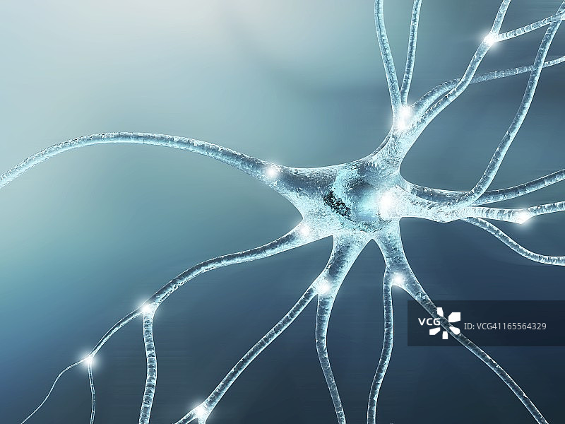 神经细胞艺术图图片素材