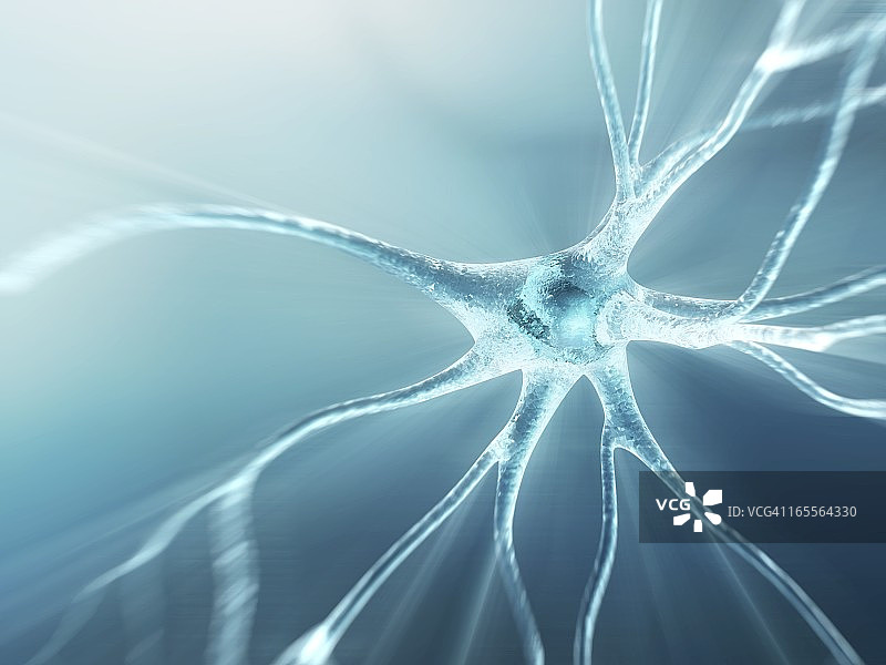 神经细胞艺术图图片素材