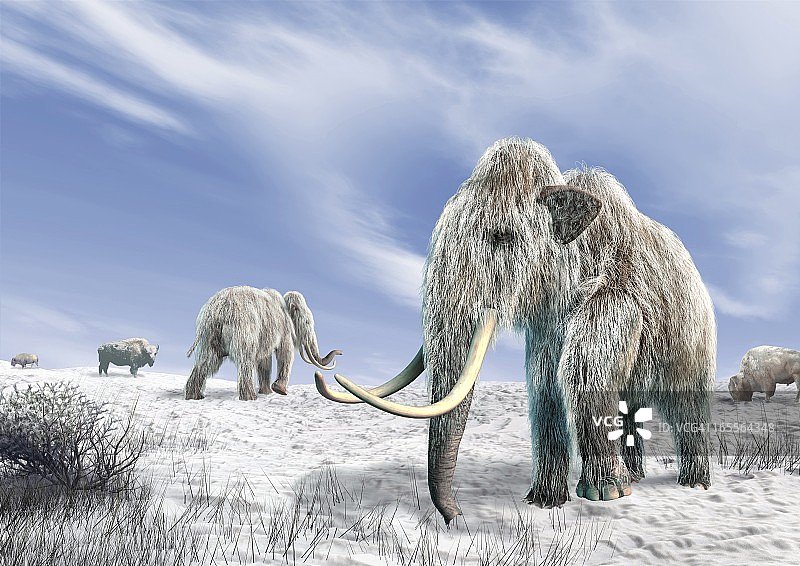 长毛猛犸象，艺术作品图片素材