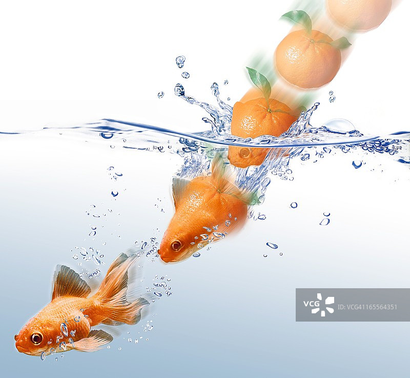 橙色变成金鱼的艺术作品图片素材