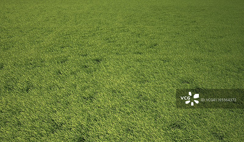 草地，艺术图图片素材