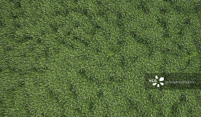 草地，艺术图图片素材