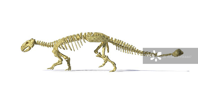甲龙恐龙骨骼，艺术作品图片素材