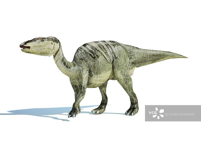 埃德蒙顿龙恐龙艺术作品图片素材