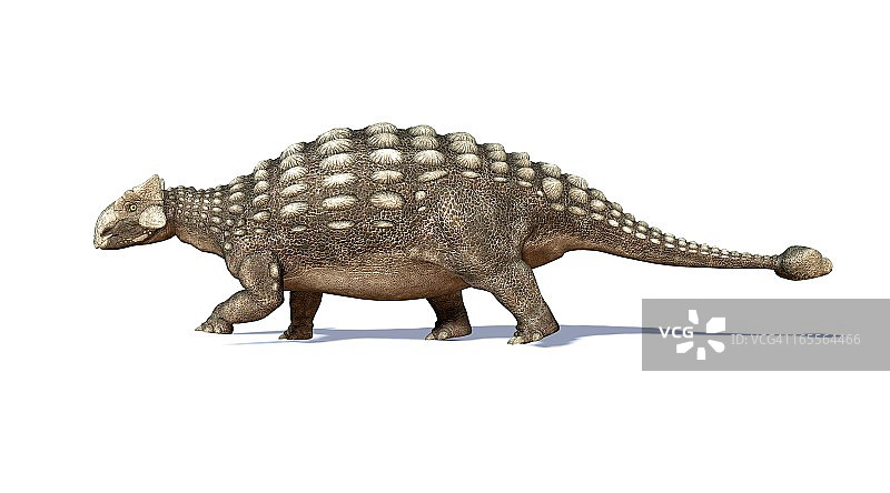 甲龙恐龙艺术作品图片素材