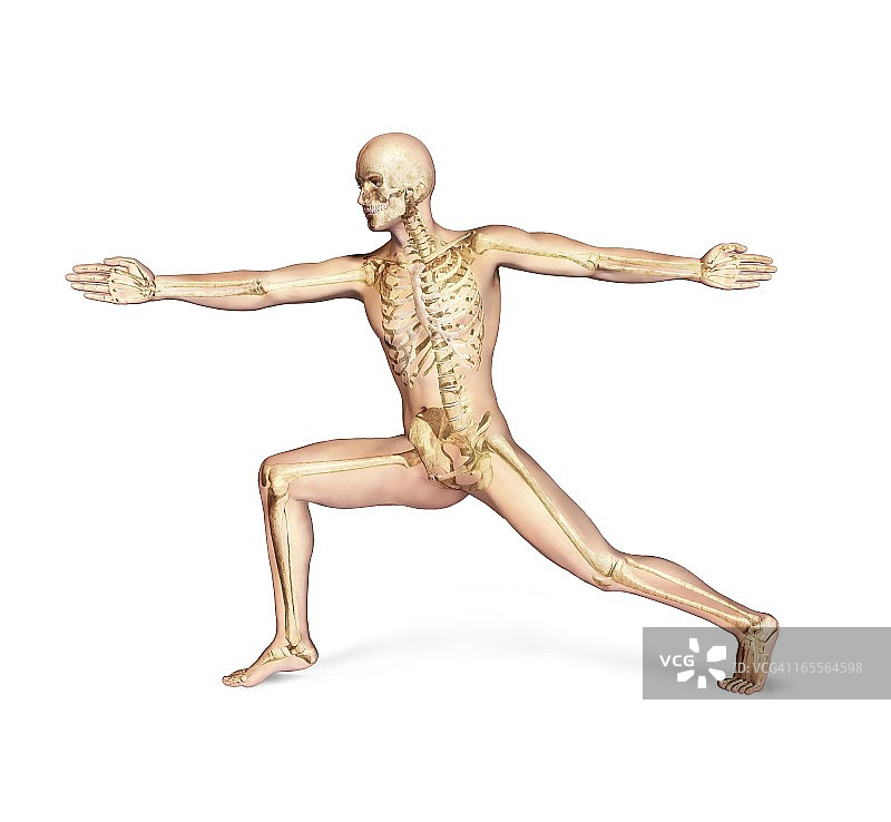 男性骨骼,艺术品图片素材