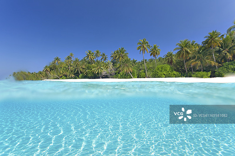 水上水下分割摄影图片素材