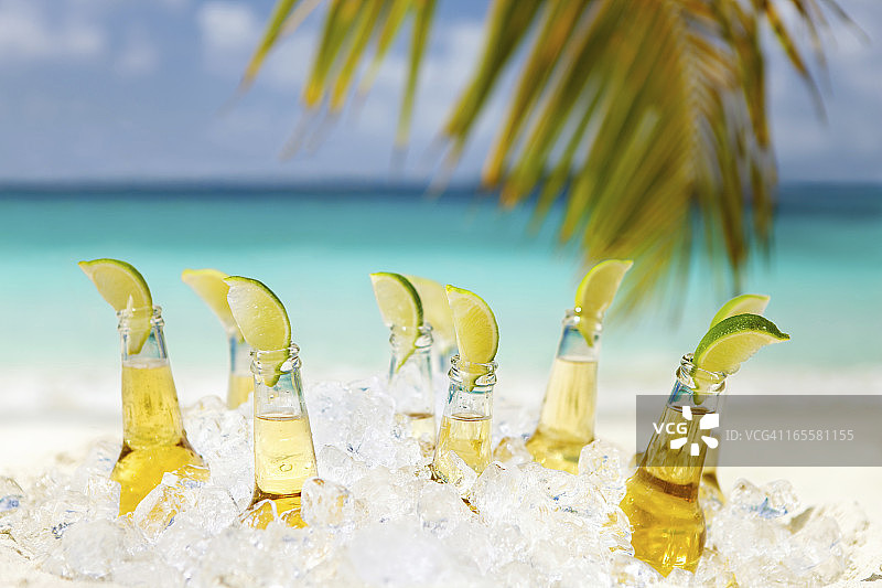 海滩棕榈树下的青柠啤酒图片素材