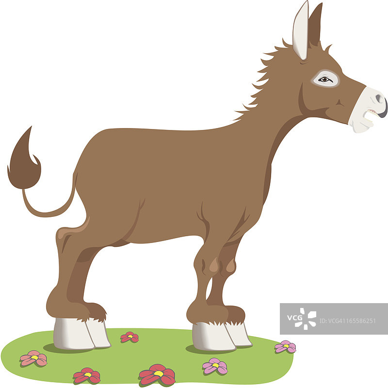 驴图片素材