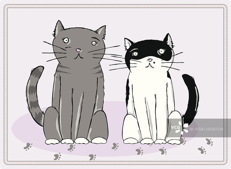 两只猫图片素材