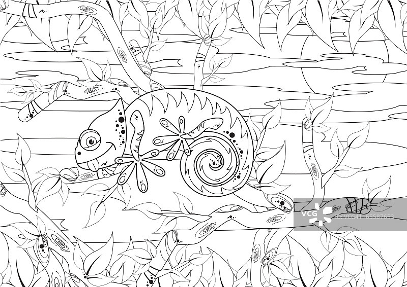 丛林场景中的变色壁虎图片素材