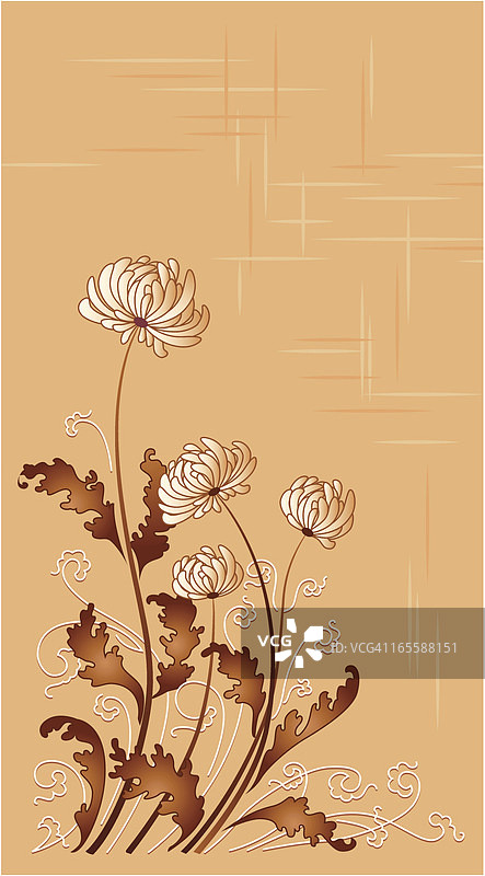 菊花图片素材