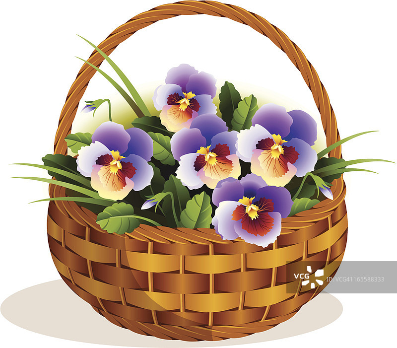 小篮子里的三色堇图片素材