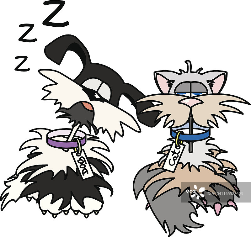 猫和狗入睡图片素材