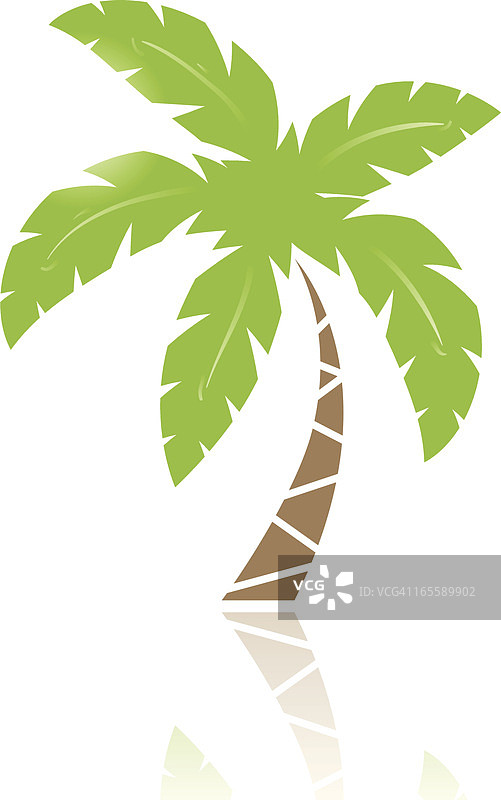 棕榈树图片素材