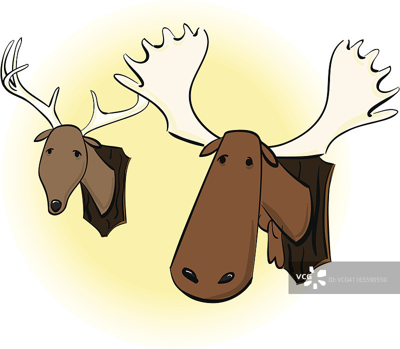 动物头颅图片素材