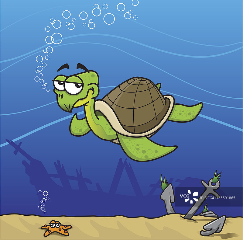 海龟图片素材