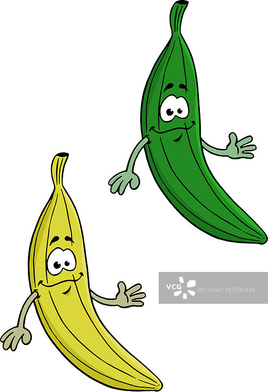 西葫芦和香蕉图片素材