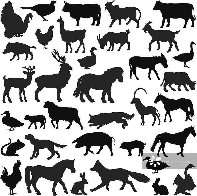 农场动物剪影合集图片素材