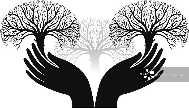 手和树木图片素材