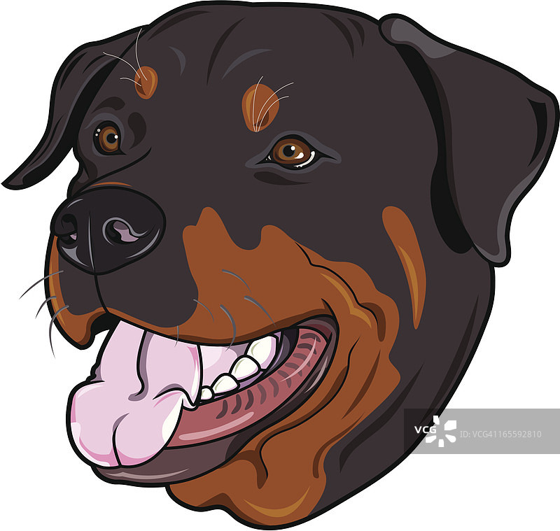 罗威纳犬图片素材