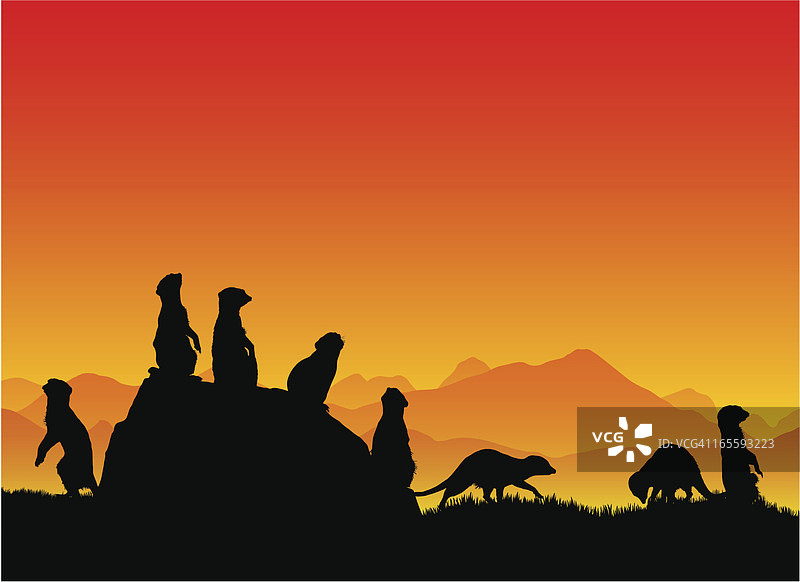 猫鼬剪影图片素材