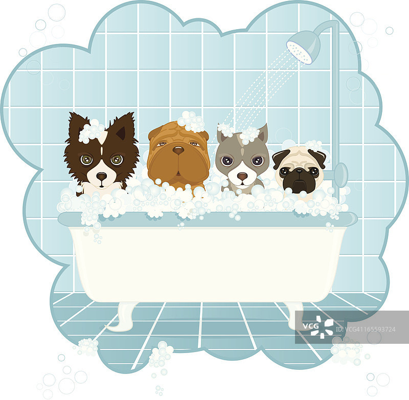 狗狗清洗图片素材