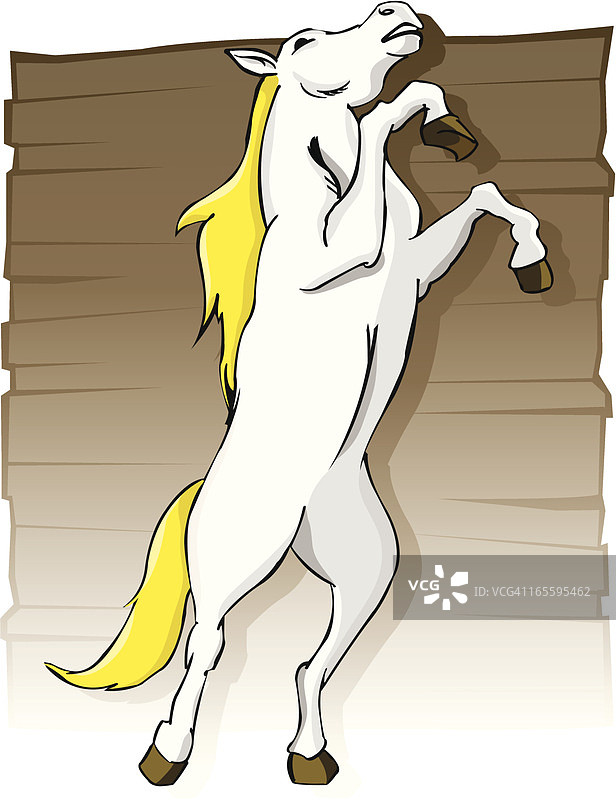 白色野马。图片素材