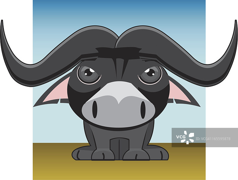 非洲水牛图片素材