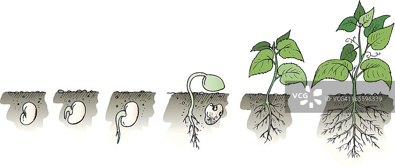 越来越多的工厂图片素材