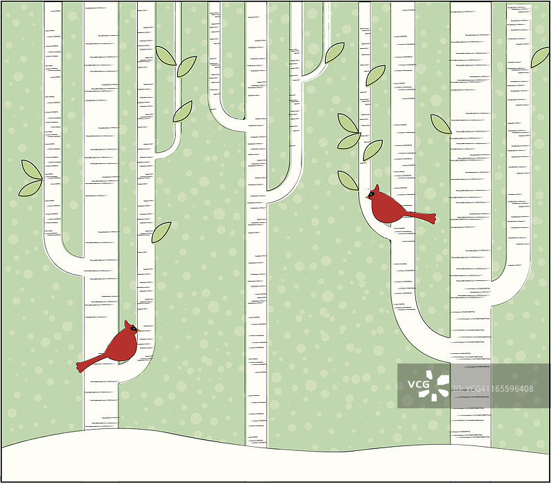 桦树林图片素材