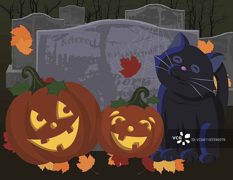 万圣节场景：南瓜灯和猫咪图片素材