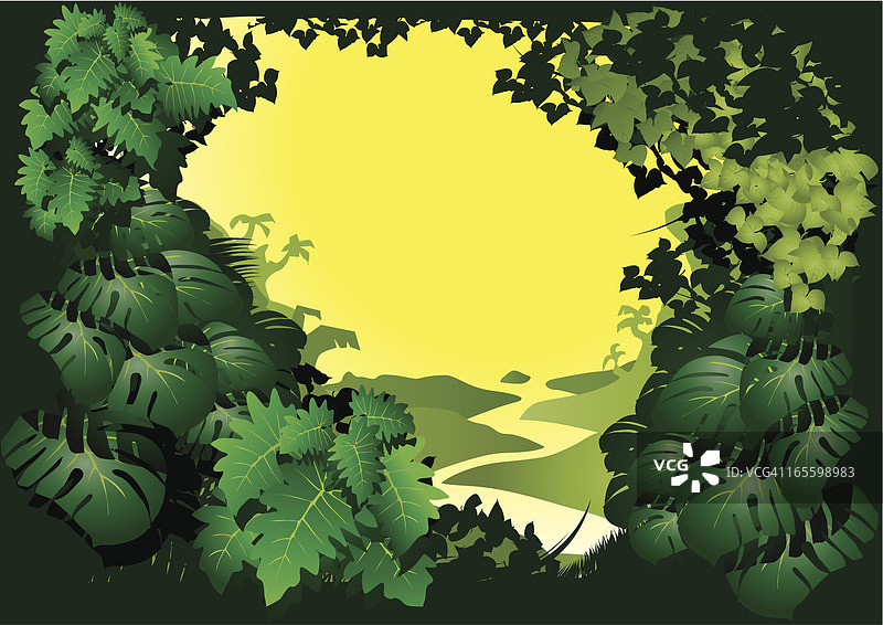 丛林图片素材