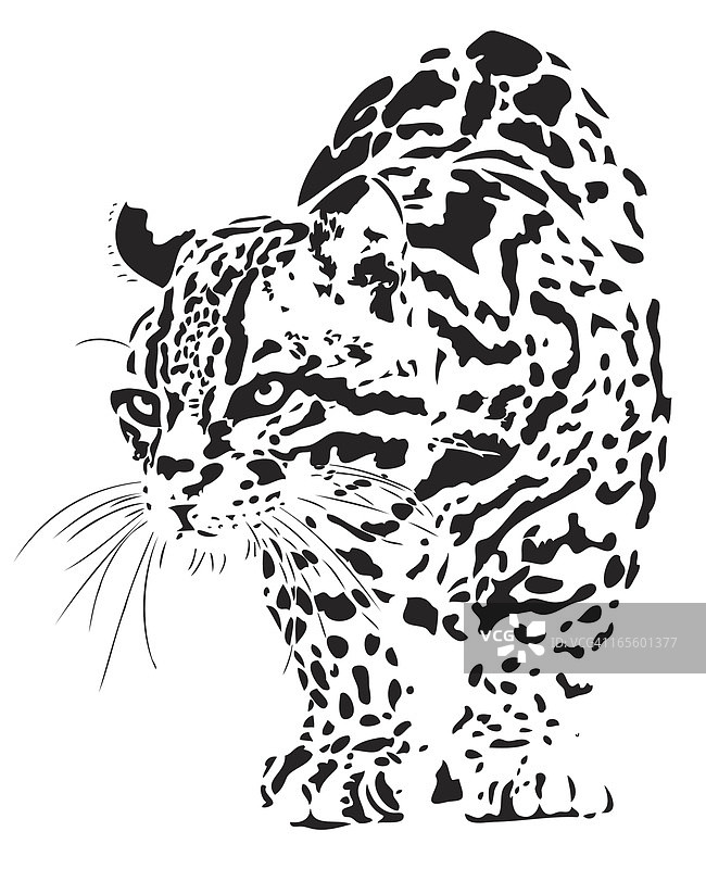 虎猫插画图片素材