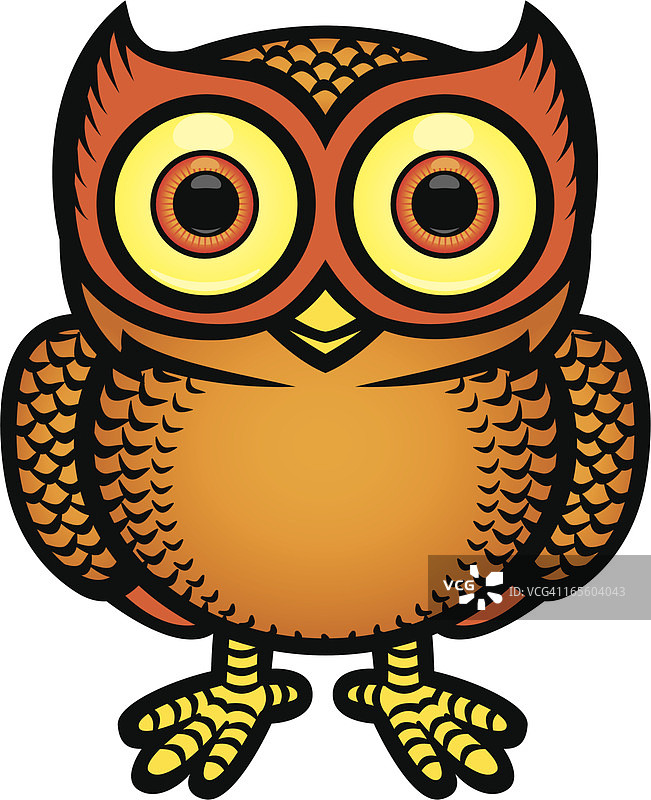 猫头鹰图片素材