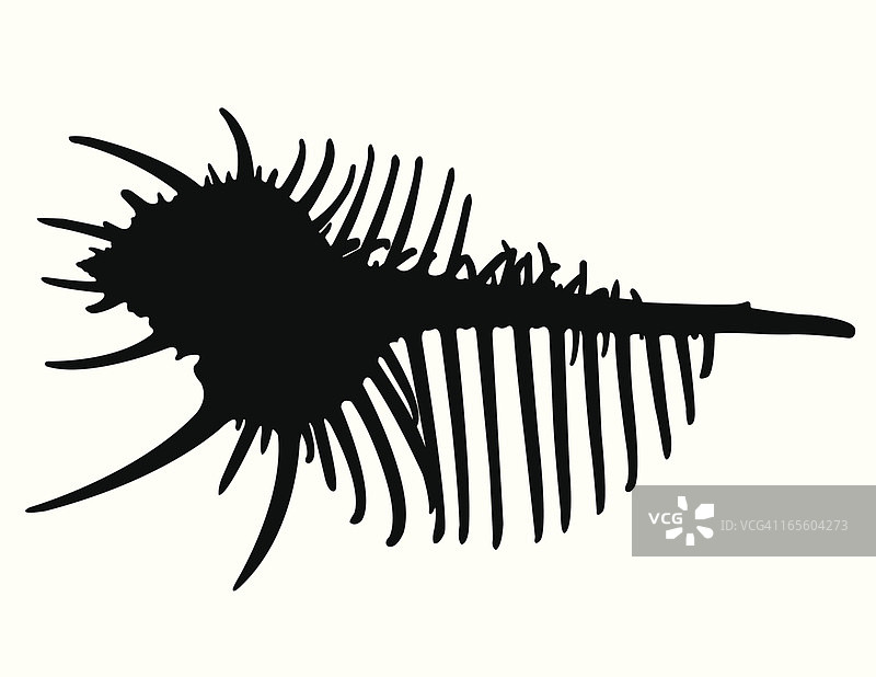 维纳斯梳子轮廓图片素材