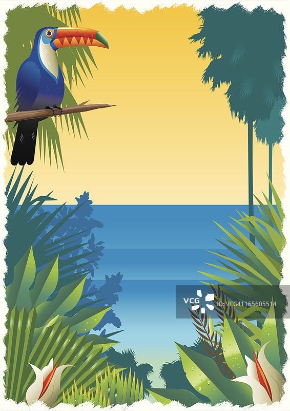 有巨嘴鸟的热带海滩场景图片素材