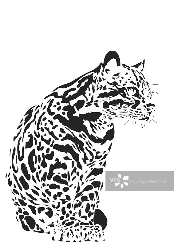 虎猫插画图片素材