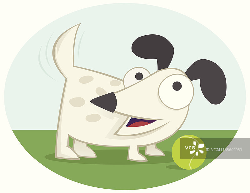 短毛狗图片素材