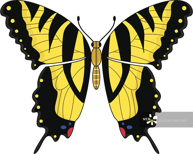 虎凤蝶图案图片素材