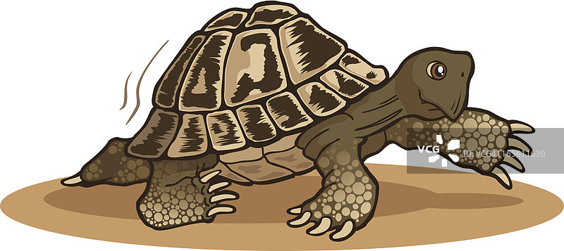 乌龟行走图片素材