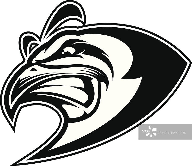 企鹅头部黑白照图片素材