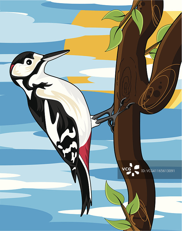 伟大的发现啄木鸟图片素材