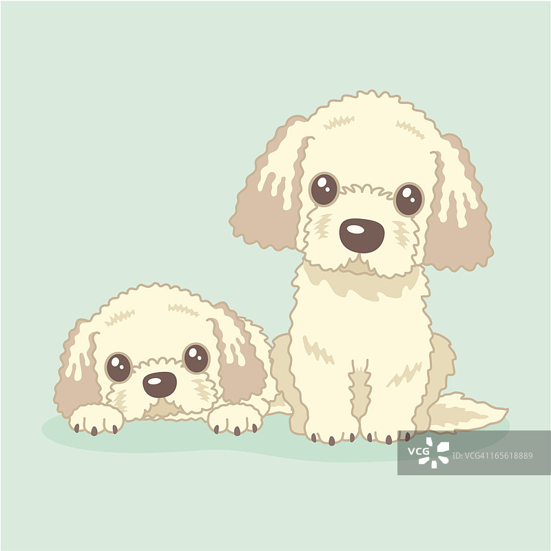 拉布拉多犬和金毛贵宾犬坐着图片素材