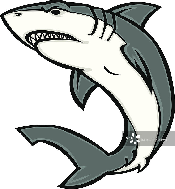 白色鲨鱼图片素材