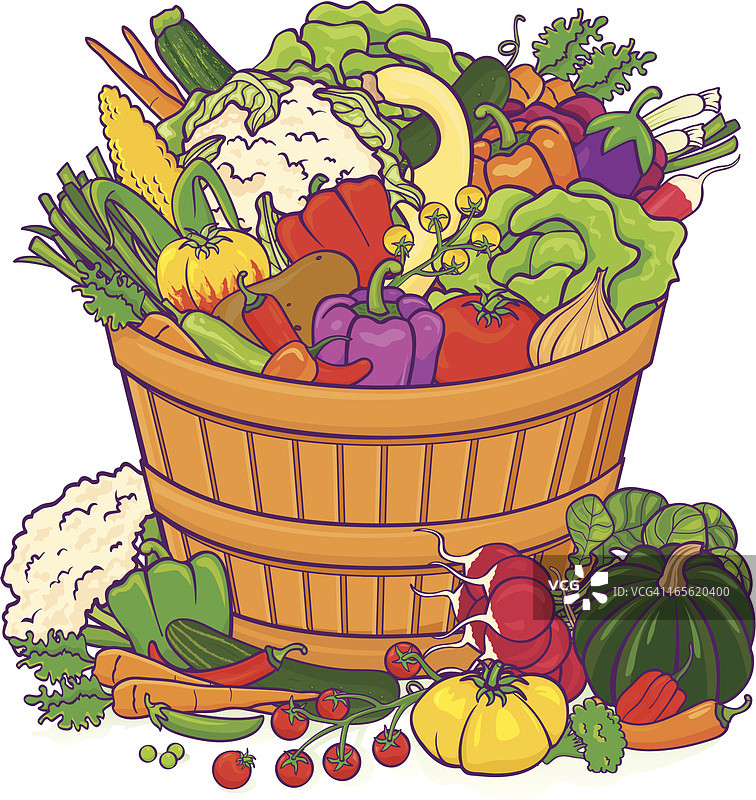蔬菜篮丰收图片素材