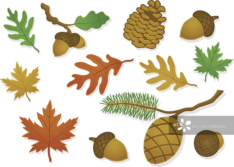 缎面质感自然风光图片素材