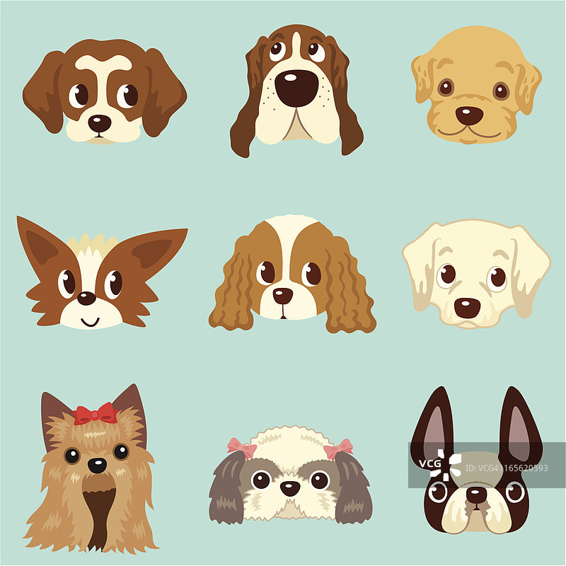 狗的脸图片素材