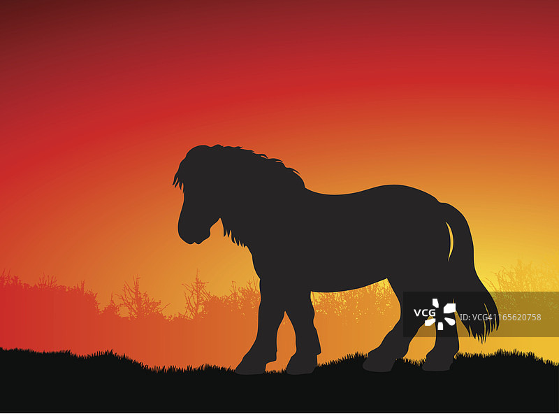 日落时分的小马轮廓图片素材