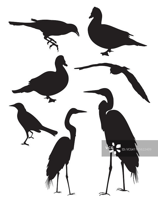 鸟类剪影图片素材